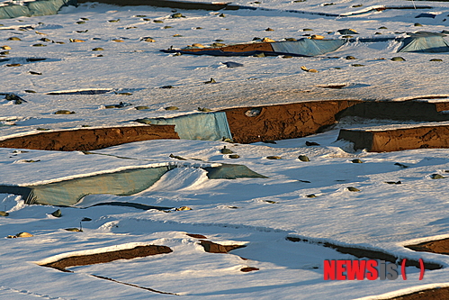 【춘천=뉴시스】박혜미 기자 = 25일 오후 강원 춘천시 하중도 레고랜드 부지에서 발굴된 대규모 선사시대 유적지에 며칠 전 내린 눈으로 공사가 중단돼 눈이 그대로 쌓인 채 방치되고 있다.&nbsp; 일부 유적지는 보호를 위해 파란 천막으로 덮여 있지만 대부분의 유적지가 눈에 덮인 채 방치되다 최근 날이 풀리면서 주거지 터 흙이 무너져 내려 훼손되고 있는 모습이다. 2014.12.25.&nbsp; fly1225@newsis.com