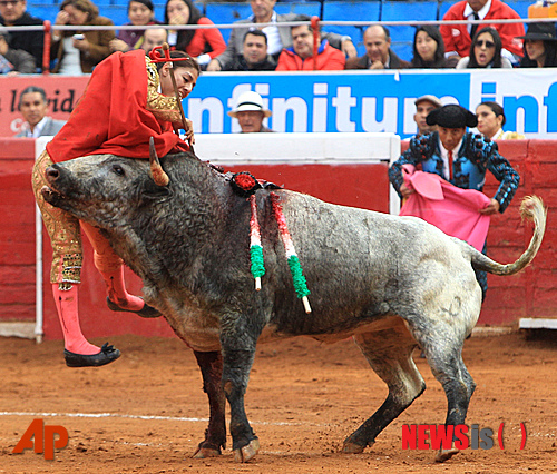 【멕시코시티=AP/뉴시스】지난 28일(현지시간) ‘카를라 데 로스 앙헬레스’라는 예명으로 활동하는&nbsp; 멕시코 여성 투우사 칼라 산체스 산 마르틴(26)이 멕시코시티에서 열린 투우에서 황소의 뿔에 받히고 있다. 그는 이날 투우에서 무게가 495㎏에 달하는 '가무시모'란 이름의 황소와 싸우다 허벅지가 24㎝, 엉덩이가 15㎝ 찢어지는 상처를 입었으나 회복 후 오는 1월 중순에 복귀할 것이라고 30일 밝혔다. 2014.12.31