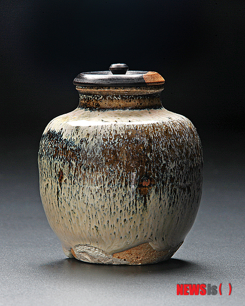 이정환, 회령차호