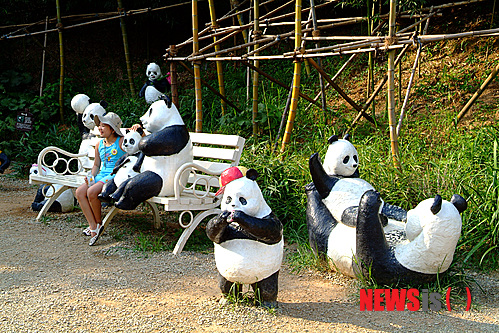 【담양=뉴시스】송창헌 기자 = '대나무 고장'으로 불리는 전남 담양에 중국의 상징이자 대나무를 주식으로 하는 판다곰 연구기지를 조성하려는 프로젝트가 추진중이라고 담양군이 11일 밝혔다. 사진은 담양의 대표 관광지 중 한 곳인 '죽녹원'에 설치된 판다곰 조형물. 2015.01.11. (사진=담양군 제공)   photo@newsis.com 