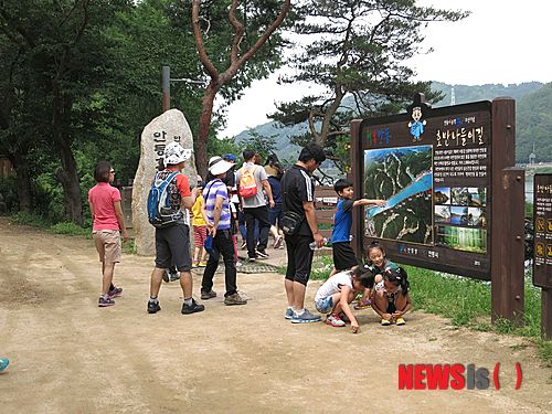 【안동=뉴시스】나호용 기자 = 경북 안동호반나들이길이 인기를 끌고 있다. 2015.01.15.(사진=안동시 제공)&nbsp; nhy@newsis.com
