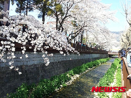 【서울=뉴시스】한화리조트 해운대 티볼리는 오는 4월11일까지 ‘진해 군항제’ 당일 여행상품를 판매한다. (사진=한화호텔앤드리조트 제공)