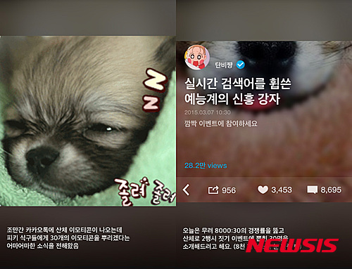 tvN·피키캐스트 제휴 콘텐츠 '삼시세끼'