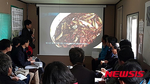 【고양=뉴시스】이경환 기자 = 행주어촌계는 16일 오후 경기 고양시 행주외동 사무실에서 해양수산부, 환경부, 경기도, 고양시 관계자 등이 참석한 가운데 기하급수적으로 늘어난 끈벌레로 인한 대책회의를 열었다.&nbsp; 이날 환경부 관계자는 "전세계적으로 1200여종의 끈벌레가 있지만 한강하구에서 발견된 끈벌레의 경우 공식적으로 보고된 바 없는 끈벌레"라며 "국내에서 종을 분류할 수 있는 전문가가 없어서 일본으로 보내 DNA를 분석하고 있다"고 밝혔다. 2015.04.16&nbsp; lkh@newsis.com