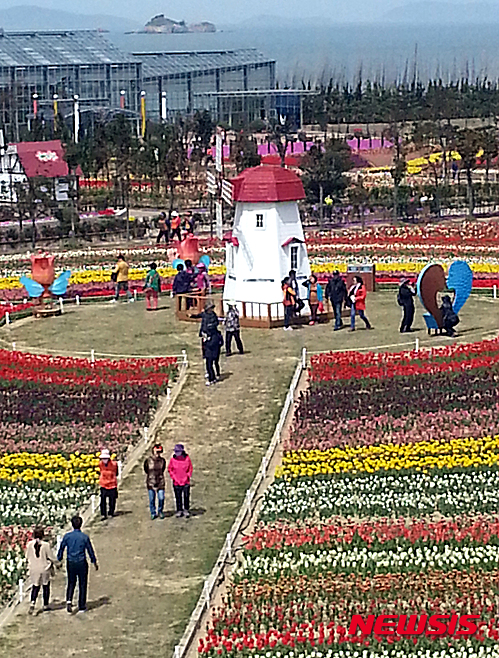 【신안=뉴시스】박상수 기자 = 17일 오후 전남 신안군 임자면 튤립공원에 형형색색의 튤립이 만개해 관광객들을 맞고 있다. 신안군은 오는 26일까지 '신안튤립축제'를 개최한다. 2015.04.17&nbsp; parkss@newsis.com