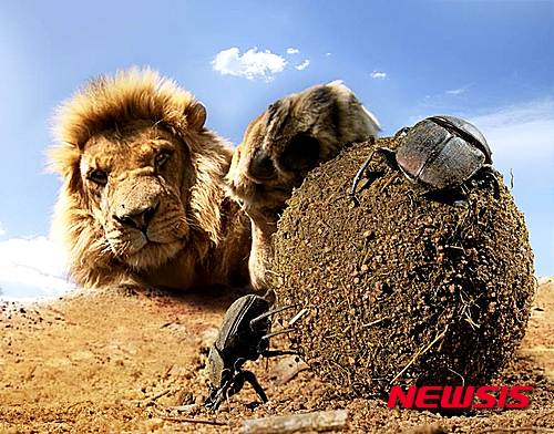 JTBC 다큐멘터리 ‘BBC 히든킹덤’