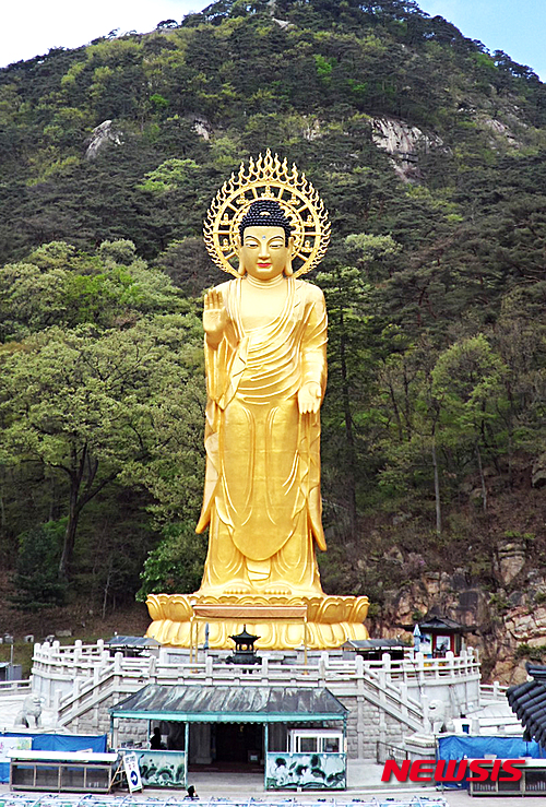 【보은=뉴시스】김기준 기자 = 30일 속리산 법주사를 상징인 금동미륵대불(높이 33m)이 개금불사(改金佛事)를 마치고 금빛 찬란한 모습을 드러냈다. 법주사는 지난해 9월부터 자부담금 7억원을 들여 경내에 자리 잡은 이 금동미륵대불의 표면을 햇볕이나 비바람에 잘 변색하지 않는 '골드 펄'이라는 인조 금을 이용해 개금불사를 했다.2015.04.30.&nbsp;&nbsp; kkj@newsis.com