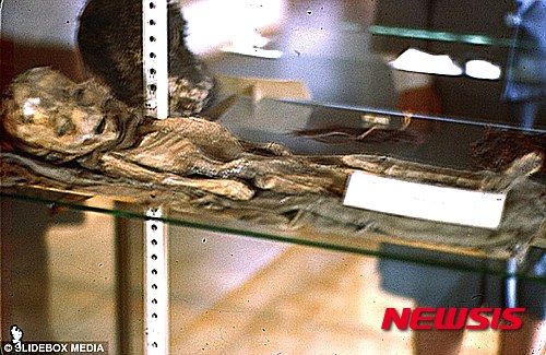 【서울=뉴시스】미국 애리조나주(州) 한 주택 다락방 안에 보관중이던 상자 안에서 외계인으로 추정되는 사진이 발견됐다. 2015.05.08 (사진출처: 슬라이드박스 미디어)