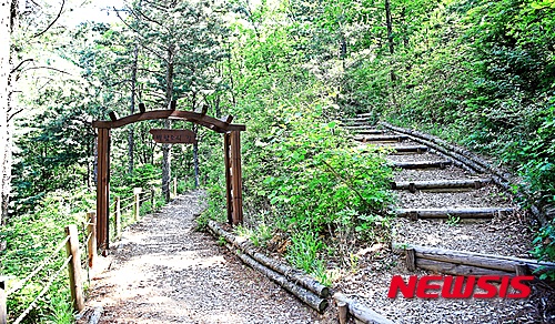  【증평=뉴시스】강신욱 기자 = 충북 증평군 증평읍 좌구산 자연휴양림의 '바람소리길'이 문화체육관광부·한국관광공사가 운영하는 대한민국 걷기여행길 종합안내 포탈의 '걷기 좋은 길 전국 10대 명소'에 선정됐다. 2015.05.28. (사진=증평군 제공)&nbsp; photo@newsis.com