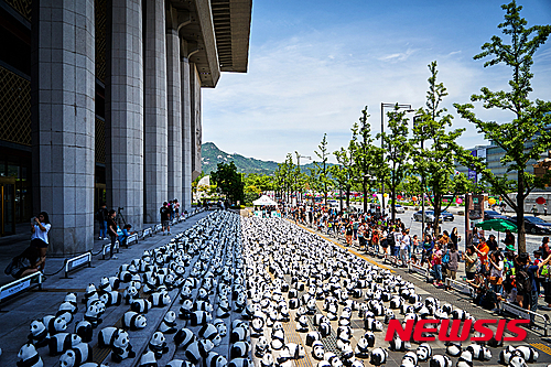 【서울=뉴시스】세종문화회관을 방문한 판다들. ⓒAMHERST_Photo_by_K-IMAGES