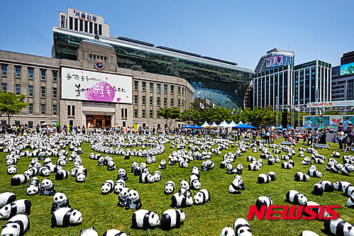 【서울=뉴시스】서울광장 방문한 판다들. ⓒAMHERST_Photo_by_K-IMAGES_150524_002