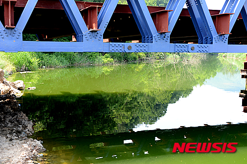【나주=뉴시스】이창우 기자 = 한여름 같은 5월 폭염으로 연일 30도를 웃도는 기온이 이어지고 있는 가운데 31일 오전 전남 나주 다시면 회진교 밑 신광천. 영산강 지류 중 한곳인 이곳도 이미 녹조 띠가 관찰되고 있는 가운데 물빛이 녹색으로 물들어 가고 있다. 2015.05.31 lcw@newsis.com