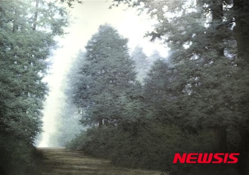 【서울=뉴시스】도성욱, Condition-Light, 연도미상, 캔버스에 유채, 200×280cm (사진=서울미술관) photo@newsis.com 