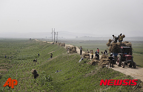 【평양=AP/뉴시스】'100년만에 최악의 가뭄'이라는 북한 당국의 발표 내용을 둘러싸고 진위 논란이 이는 가운데 북한 농촌의 실제 모습을 보여준 사진들이 공개됐다. 평양에 지국을 개설한 AP통신은 북한은 올들어 예년에 보기 드문 가뭄으로 인해 흉년과 식량부족 현상을 맞을 수 있을 것으로 보인다고 전했다. 24일 황해남도에서 주민들이 옥수수 밭에서 작업하는 모습. 2015.06.25