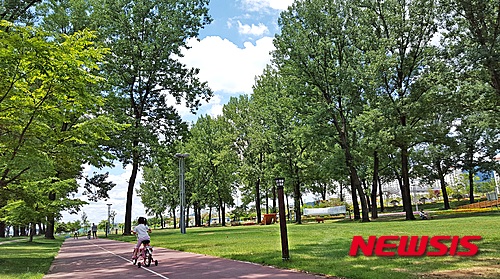 【증평=뉴시스】강신욱 기자 = 27일 충북 증평군 증평읍 보강천 둔치 미루나무숲에는 장맛비가 지나가고 파란 하늘과 뭉게구름이 어우러지면서 가족 단위 나들이객들이 찾아 즐거운 시간을 보내고 있다. 2015.06.27. ksw64@newsis.com