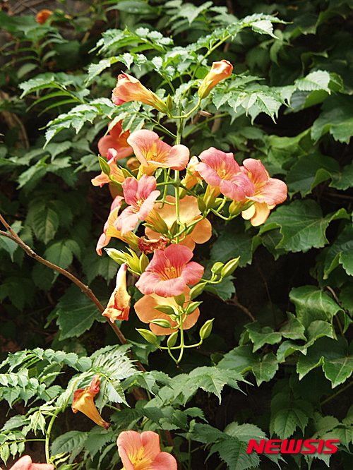 【대전=뉴시스】김양수 기자 =