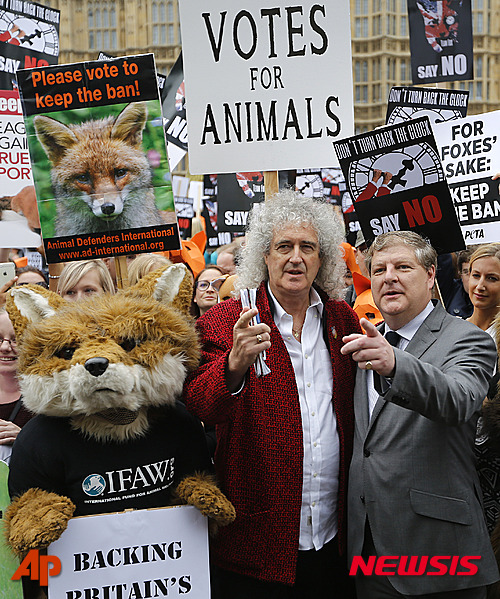 【런던=AP/뉴시스】영국 록 밴드 퀸의 기타 연주자 브라이언 메이(가운데)가 14일(현지시간) 런던 국회의사당 앞에서 여우 사냥 반대 시위 중 스코틀랜드 국민당(SNP) 소속 교섭단체의 앵거스 로버트슨 단체장(오른쪽)과 여우 복장을 한 시위대와 국회의원들에게 여우 사냥 금지법을 유지하라고 촉구하고 있다. 보수당 정부는 이날 15일로 예정된 여우 사냥 금지 완화안 표결을 연기했다. 2015.07.15)