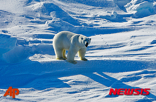 알래스카 북부서 규모 6.5 강진 발생...피해보고 아직 없어