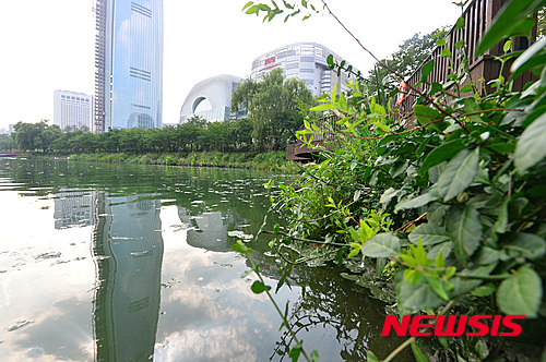 【서울=뉴시스】석촌호수 모습. <사진은 기사내용과 직접적인 관련은 없습니다.>
