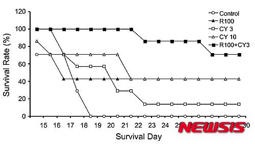 【서울=뉴시스】유희연 기자 = KT&G 중앙연구원 곽이성 연구팀은 실험용 쥐에 암을 유발하고 그룹을 나눠 1그룹 홍삼(R100, 홍삼군), 2그룹 저용량 항암제(CY3, 저 용량군), 3그룹 고용량 항암제(CY10, 고용량군), 4그룹 홍삼과 저용량 항암제(R100+CY3, 병행군)를 각각 투입한 후 30일간의 생존율을 관찰했다.&nbsp; lovely_jh@newsis.com