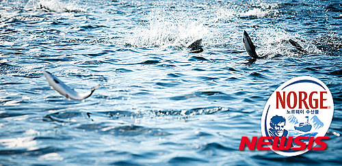 【서울=뉴시스】더 리버사이드 호텔은 9월 한 달간 뷔페 ‘더 가든 키친’에서 노르웨이 청정 시푸드 페스티벌을 연다. (사진=더 리버사이드 호텔 제공)