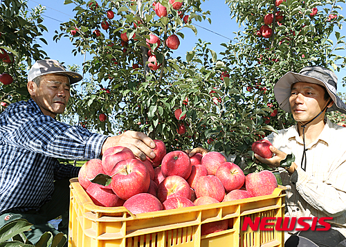 충주 과수농가 경영안정 지원금 15억여원 지급