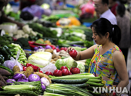 [속보] 1월 중국 소비자물가 0.2%↑ 생산자물가 1.4%↓…"상승폭 낙폭 축소"