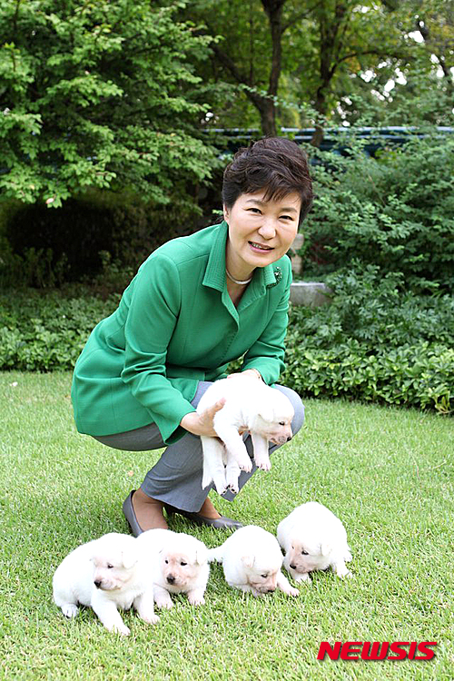 【서울=뉴시스】박근혜 대통령이 청와대 관저에서 태어난 진돗개 강아지 5마리의 이름을 평화, 통일, 금강, 한라, 백두로 정했다고 20일 자신의 페이스북을 통해 밝혔다.&nbsp; 박 대통령은 페이스북에 '희망이 새롬이의 5마리 강아지들은 이젠 눈도 뜨고 어미 품에서 행복하고 건강하게 잘 지내고 있습니다', '그동안 여러분께서 좋은 이름들을 많이 보내주셨는데 많은 생각 끝에 장석원님께서 지어주신 평화, 통일, 금강, 한라, 백두로 정했습니다' 라고 적었다.&nbsp; 이 들 강아지는 박 대통령이 청와대에 들어올 때 삼성동의 주민들이 선물한 진돗개 희망의와 새롬이 사이에서 지난주에 태어났다. 2015.09.20. (사진=청와대 제공)&nbsp; photo@newsis.com