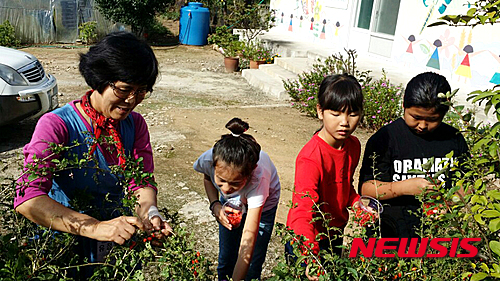 【강진=뉴시스】 전남 강진군이 운영하고 있는 감성 농가체험 프로그램. (사진=뉴시스 DB) mdhnews@newsis.com