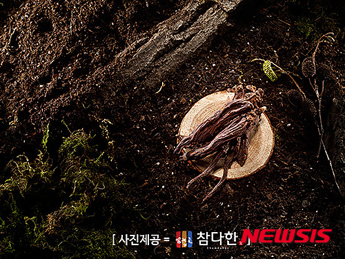 【서울=뉴시스】유희연 기자 = 면역력이 약한 어린이에게 홍삼은 자연이 준 천연의 영양제다.&nbsp; lovely_jh@newsis.com 