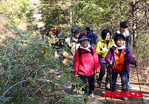 【보은=뉴시스】김기준 기자 = 31일 충북과 경북의 4개 시·군을 연결하는 '속리산 둘레길'(전체 길이 194㎞) 가운데 일부 구간을 개통한 뒤 등산객들이 산행을 하고 있다. 이날 개통한 구간은 장안면 개안리 대추홍보관~산외면 대원리 금단산을 잇는 35.7㎞다.2015.10.31.(사진=보은군청 제공)&nbsp; photo@newsis.com