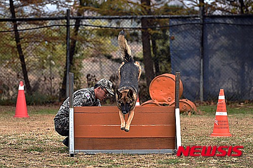 【서울=뉴시스】 