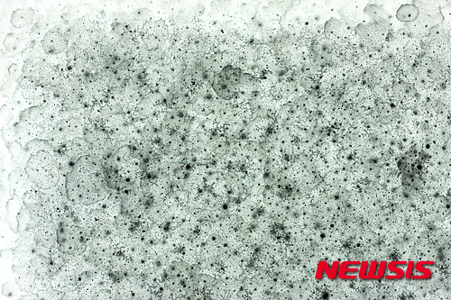 【서울=뉴시스】The Gesture-15020, Mixed Media on Canvas, 162 x 227cm, 2015, 