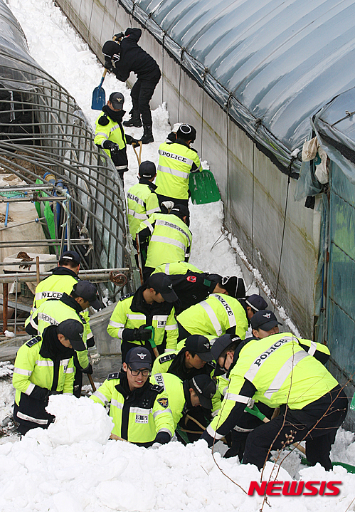 【장성=뉴시스】신대희 기자 = 26일 오후 전남 장성군 남면 덕성리 한 마을에서 전남경찰청 507연대 의무경찰 70명이 폭설로 무너진 비닐하우스 농가의 철거·제설 작업을 돕고 있다. 2016.01.26.&nbsp;&nbsp; sdhdream@newsis.com 