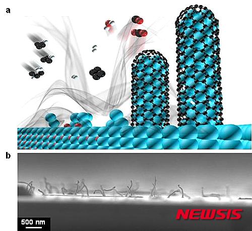 UNIST 연구팀이 개발한 나노와이어 제조 원리를 설명한 모식도(a)와 나노와이어 성장 현상의 주사전자현미경 이미지(b).