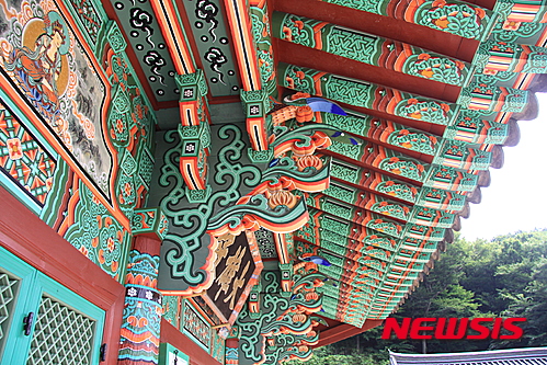 【서울=뉴시스】신진아 기자 = 부산시 유형문화재 제91호 ‘부산 운수사 대웅전’이 국가지정문화재 보물 제1896호가 됐다. 운수사 대웅전은 부산 지역에서 현재까지 남아있는 목조 건축물 중 가장 오래됐다. 2013년 전면 해체 수리 때 종도리에서 발견된 2개의 묵서명(墨書銘)에 의해 1647년 공사를 시작해 1655년 완공됐음이 확인됐다. 정면 3칸, 측면 3칸 규모의 단아한 주심포(柱心包)계 맞배지붕 건물이다. 우주(隅柱)의 하부에는 기둥 높이의 2분의 1 정도까지 원형 돌기둥을 세워 목재 기둥을 받고 있다. 이는 범어사 대웅전, 범어사 일주문 등 부산 동래 지역 건축물에서 다수 확인된다. 내륙지방에 비해 태풍이 잦고 비가 많은 데 따른 지역적 특성이 반영된 결과다. 건물의 시대성을 볼 수 있는 공포는 배면이 정면보다 시기적으로 앞서 있다. 배면 공포의 소박한 살미와 결구방법은 조선 중기 건축에서 볼 수 있는 것으로 양산 신흥사 대광전, 부산 범어사 대웅전과 동일한 형식이다. 반면, 정면은 후대에 화려한 치장형 살미를 사용해 장식적인 공포로 변화된 것이다. 동래향교 반화루, 범어사 종루와 유사한 모습이다. 이는 주심포계 익공식(翼工式) 건물이 다포(多包)계 건축의 영향으로 변화하는 모습을 잘 보여준다. 특히, 일반적인 익공식 건물의 경우 주두(柱頭) 아래의 기둥머리에 초익공(初翼工)을 끼워 공포를 구성하는데, 이와 달리 주두 위에서 구성한 것은 운수사 대웅전만의 큰 건축적 특징이다. 아울러 운수사 대웅전은 창호, 천장, 단청 등이 교체되고 변화됐으나 기본적인 구조는 1655년 최초 건립 당시의 형태와 1771년 고쳐 지은 모습을 유지하고 있다. 건물에 남아 있는 묵죽도(墨竹圖) 등 4점의 벽화는 창건 또는 18세기 중수 시에 그려진 것으로 추정되고 있어 운수사 대웅전의 시대성과 역사성을 입증하고 있다. 종도리에서 발견된 2개의 묵서명은 많은 건축 정보를 담고 있는 소중한 연구자료일 뿐만 아니라 그 자체로도 지역 불교건축사 연구의 귀중한 자료다. jahsin@newsis.com