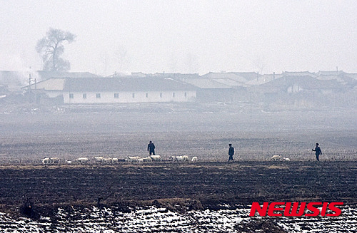 【단동(중국 랴오닝성)=뉴시스】박진희 기자 = 유엔 안전보장이사회가 포괄적 대북 제재 결의안을 채택한 3일 오후 단둥시 인근 북한 접경지역에서 북한군 병사들이 양떼를 몰고 있다. 이번 안보리 대북제재 결의는 70년 유엔 역사상 비군사적 조치로는 가장 강력하고 실효적인 조치로, 유엔 헌장 7장 41조(비군사적 제재)에 따라 절반 이상의 조항을 '의무화(DECIDE)'할 만큼 강도가 대폭 강화됐다. 2016.03.03. pak7130@newsis.com