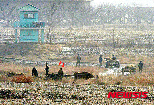 【단둥(중국 랴오닝성)=뉴시스】박진희 기자 = 북한 지도부 제거를 위한 '참수(斬首) 작전' 시나리오가 포함된 한·미 연합군사훈련인 키리졸브(Key Resolve·KR)와 독수리(Foal Eagle·FE) 훈련을 하루 앞둔 6일 오전 중국 랴오닝성 단둥시 외곽 북·중 국경지대 압록강 인근 마을에 북한 주민의 평화로운 일상 생활이 보이고 있다. 참수 작전은 유사시 김정은 등 북한 지도부를 제거하고 정권을 무너뜨리는 개념으로 북한이 '최고 존엄'으로 떠받드는 김정은을 직접 겨냥하고 있다는 점에서 거친 반발이 예상돼 왔다. 2016.03.06. pak7130@newsis.com