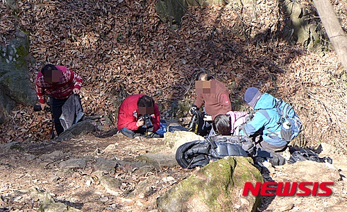 【안양=뉴시스】정재석 기자 = 봄을 맨 처음 알리는 토종 야생화 변산바람꽃. 봄의 전령답게 겨울의 끝자락에서 세찬 바람을 여린 줄기와 앙증맞은 꽃으로 맞닥뜨리며 봄을 알린다.&nbsp; 수도권에서 변산바람꽃을 볼 수 있는 경기도립공원 수리산 자생지가 출사족의 손을 타면서 몸살을 앓고 있다.2015.03.13.&nbsp; photo@newsis.com