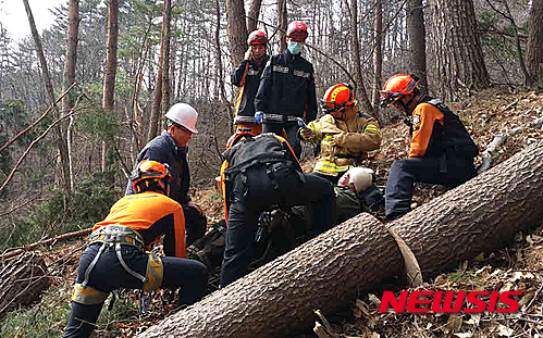 【동해=뉴시스】홍춘봉 기자 = 16일 오전 10시 33분께 강원 동해시 신흥동 백봉령 인근 야산에서 벌목작업 중 쓰러지는 나무에 부상을 당한 정모(76)씨를 긴급 출동한 동해소방서 119구조·급대원들이 구조작업을 펼치고 있다.&nbsp; 구조된 정씨는 동해소방서 구급대에 의해 인근 병원으로 후송됐으나 큰 부상은 없는 것으로 알려졌다. 2016.03.16. (사진=동해소방서 제공)&nbsp; photo@newsis.com&nbsp;&nbsp;&nbsp; 