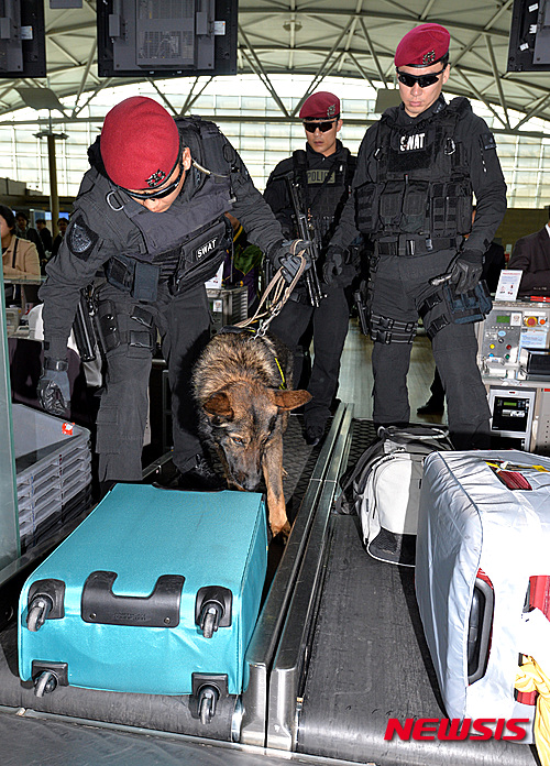 【인천공항=뉴시스】박진희 기자 = 사진은 인천공항에서 특수경비대원들과 폭발물 탐지견이 출국장의 수화물들을 검색하는 모습. 2019.10.16. pak7130@newsis.com