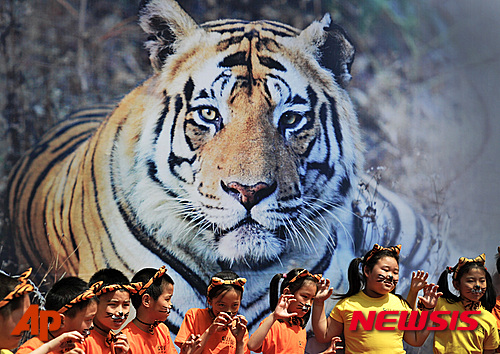 【 AP/뉴시스】전 세계의 야생 호랑이 개체수가 100여년 만에 처음으로 증가해 2014년 말 현재 약 3890마리에 달하는 것으로 나타났다고 야생 보존 단체들이 2016년 밝혔다.사진은 지난 2010년 중국 베이징 국립동물박물관에서 어린이들이 호랑이 머리 장식을 하고 율동하는 모습. 2016.04.11