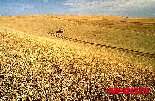 러시아, '식량 무기화' 겨냥 곡물판 OPEC 창설 제안