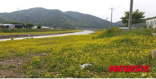 【부산=뉴시스】제갈수만 기자 = 기사 첨부용.