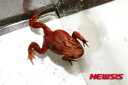 【청양=뉴시스】권교용 기자 = ggy0119@newsis.com