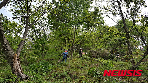【진주=뉴시스】정경규 기자 = 경남 진주시는 16일 비봉산 제모습 찾기 사업이 순조롭게 진행되고 있다고 밝혔다. 2016.05.16 (사진=진주시 제공)&nbsp;&nbsp; photo@newsis.com