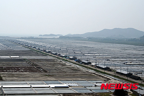 【신안=뉴시스】 전남 신안군 증도의 태평염전. (사진=뉴시스DB)