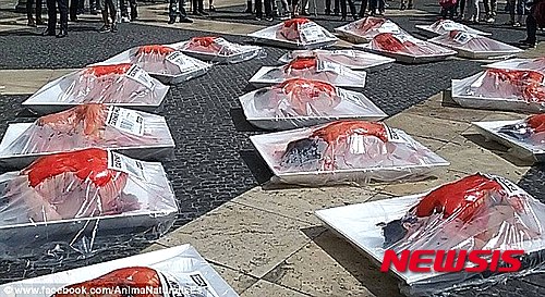 【서울=뉴시스】스페인 바르셀로나의 산트 하우메 광장에 지난 22일(현지시간) 피범벅 분장을 한 사람들이 '사람 고기'라는 라벨이 붙은 대형 포장용기 안에 들어가 엎드려 있다.&nbsp; 이는 아니마나투랄리스라는 스페인의 동물보호단체가 바르셀로나시에 1주일에 하루를 육식 없는 날로 실행할 것을 촉구하기 위해 벌인 이벤트이다. 바르셀로나는 지난 3월 세계 최초로 채식 친화 도시를 선포했었다. <사진 출처 : 데일리 메일> 2016.5.24