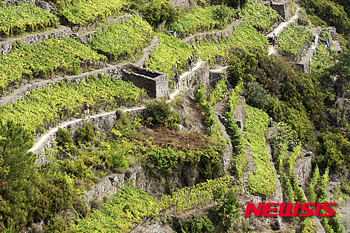 【제주=뉴시스】김용덕 기자 = (사)제주올레(www.jejuolle.org, 이사장 서명숙)는 그리스 시프노스 트레일, 이탈리아 친퀘테레 트레일과 ‘우정의 길’ 협약을 맺고 공동 홍보마케팅에 나선다고 30일 밝혔다. 사진은 이탈리아 친퀘레테 트레일 모습. 2016.05.30.(사진 = 제주올레 제공) kydjt6309@newsis.com