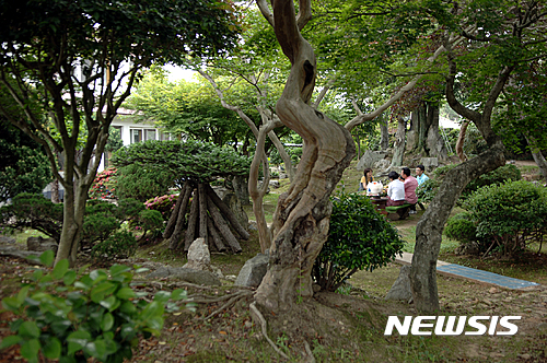 [해남=뉴시스] 사진은 정원이 아름다운 해창주조장 전경. 2016.06.14 (사진=해남군 제공) photo@newsis.com